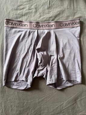 Calvin Klein Men’s Pale Lavender Boxer Briefs with Logo Waistband